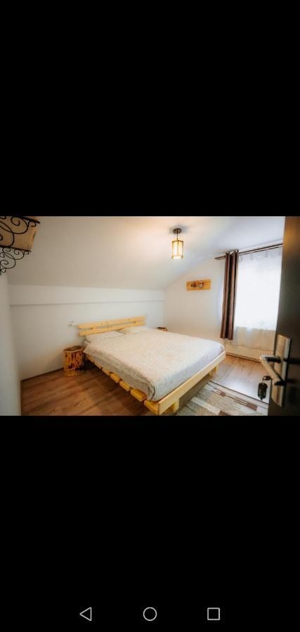 Hotel Casa Pietrosu Rodnei Borşa Exteriér fotografie